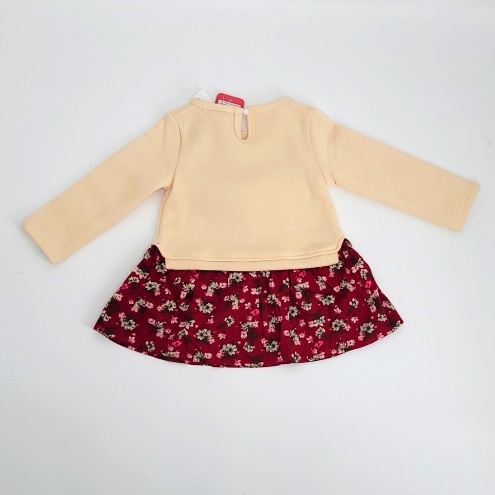 Toddler Girl Fall/Winter Brushed Soft Inside Bunny Dress Littlechic Boutique - Picture 5 of 6